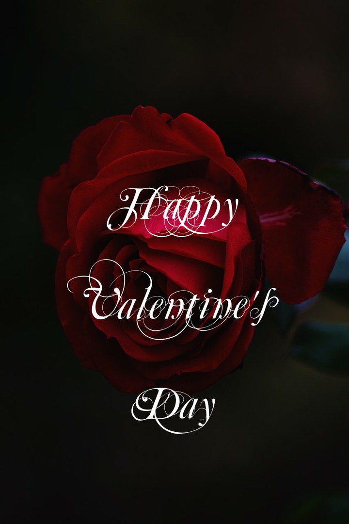 Happy Valentine's day