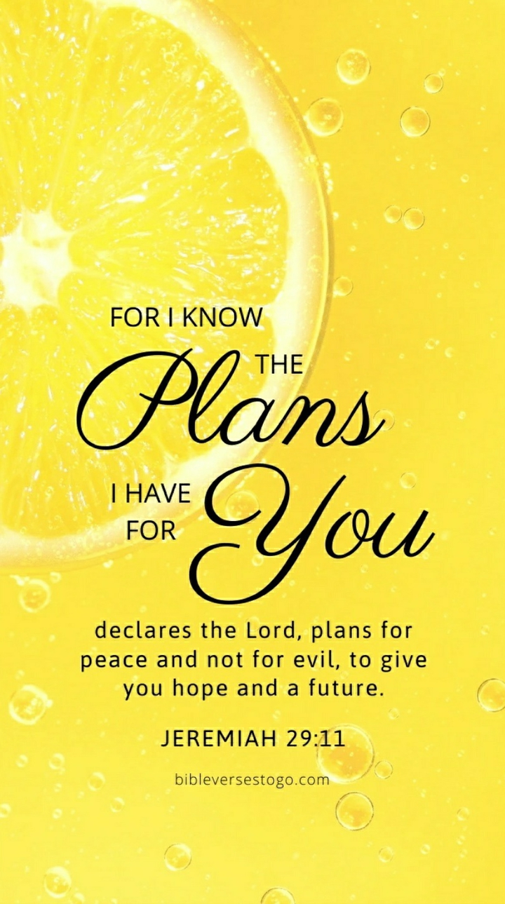 plans of God