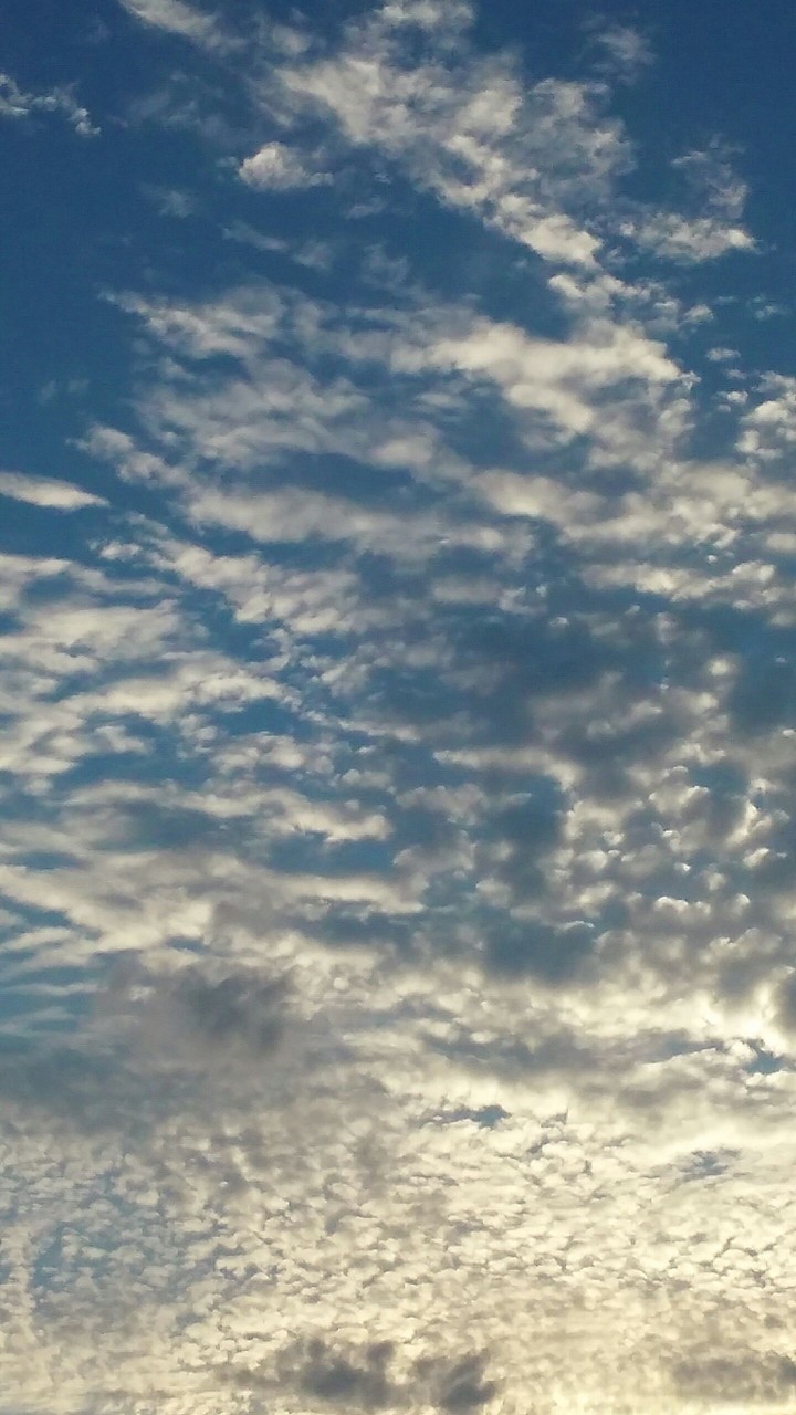 Evening Clouds