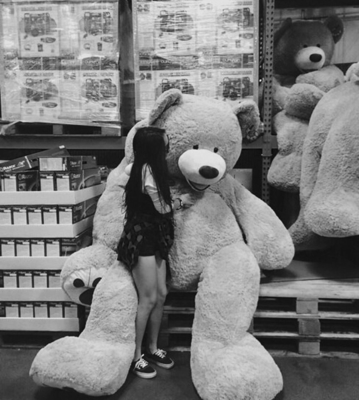 teddy toy
