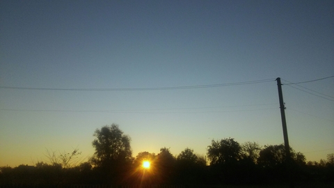 morning