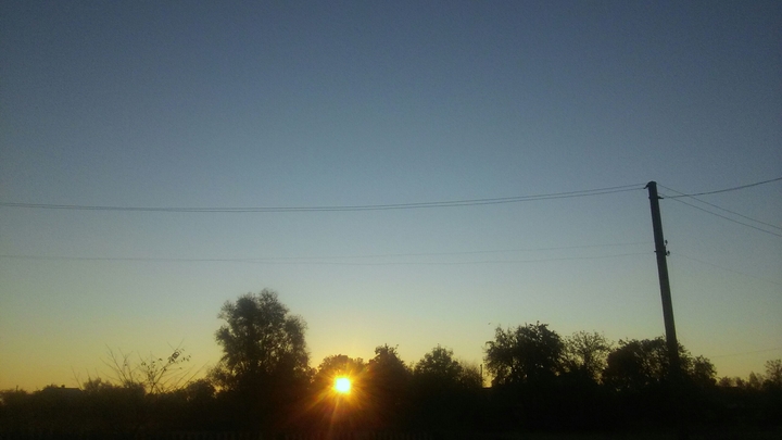 morning