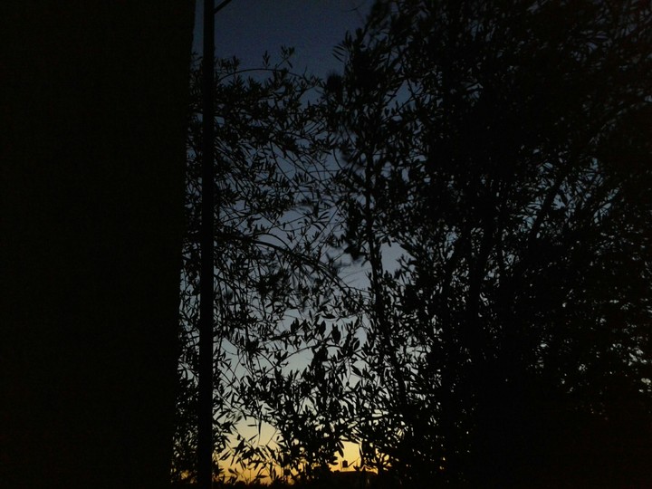 Mystery Night