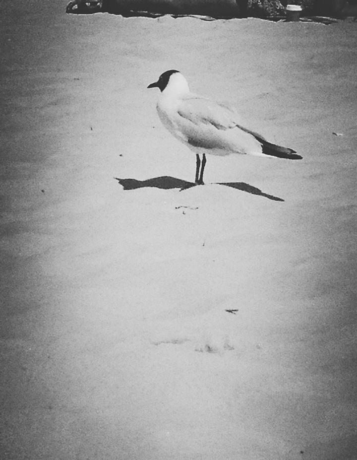 Am Strand