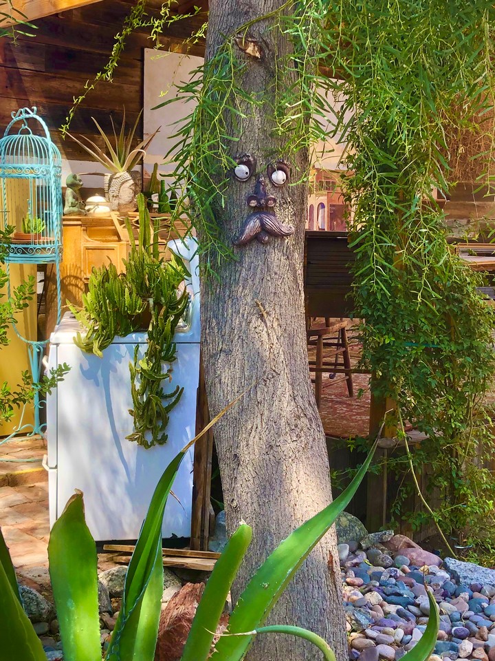 Señor Árbol