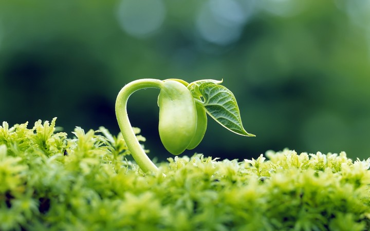 Save Nature, Our Future!!!