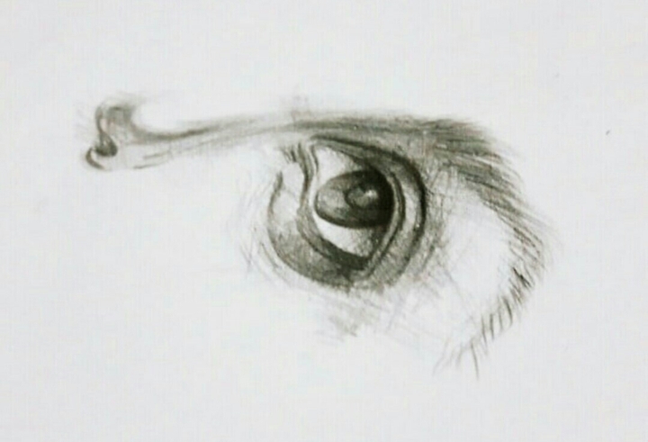 eye
