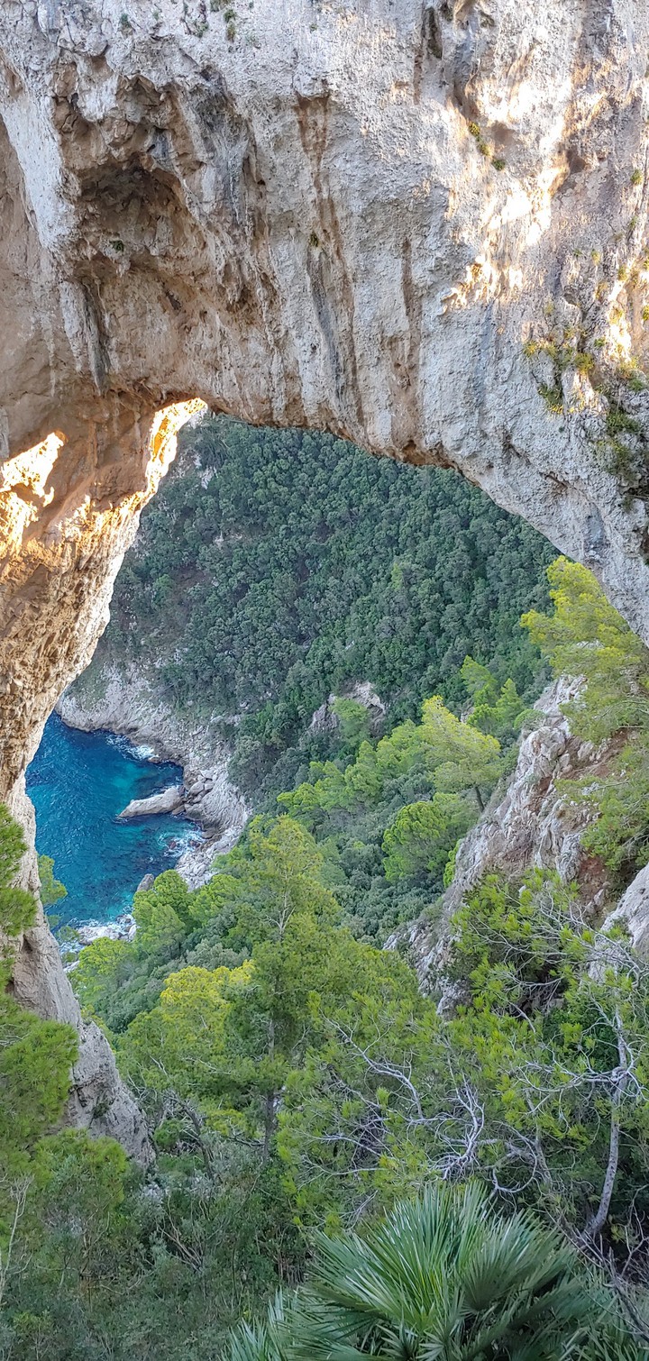 capri