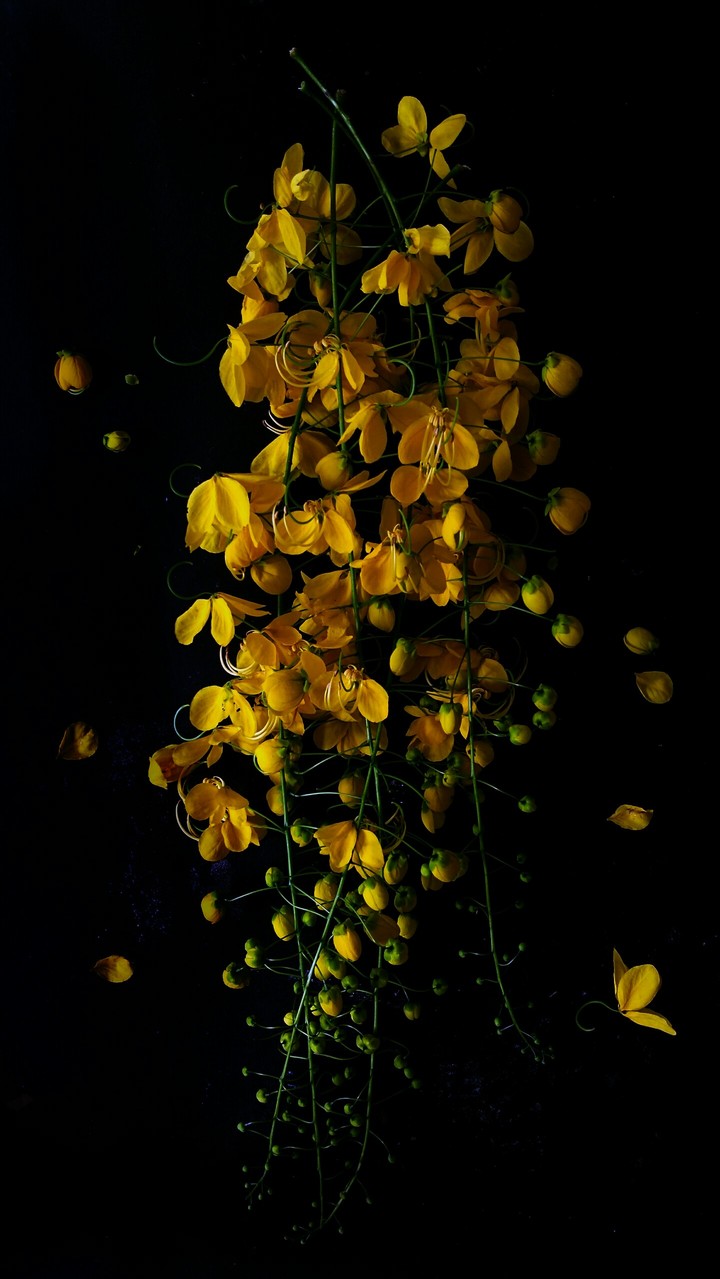 Golden Showers