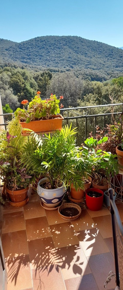Mountain view (Chrysso Greece/revised)