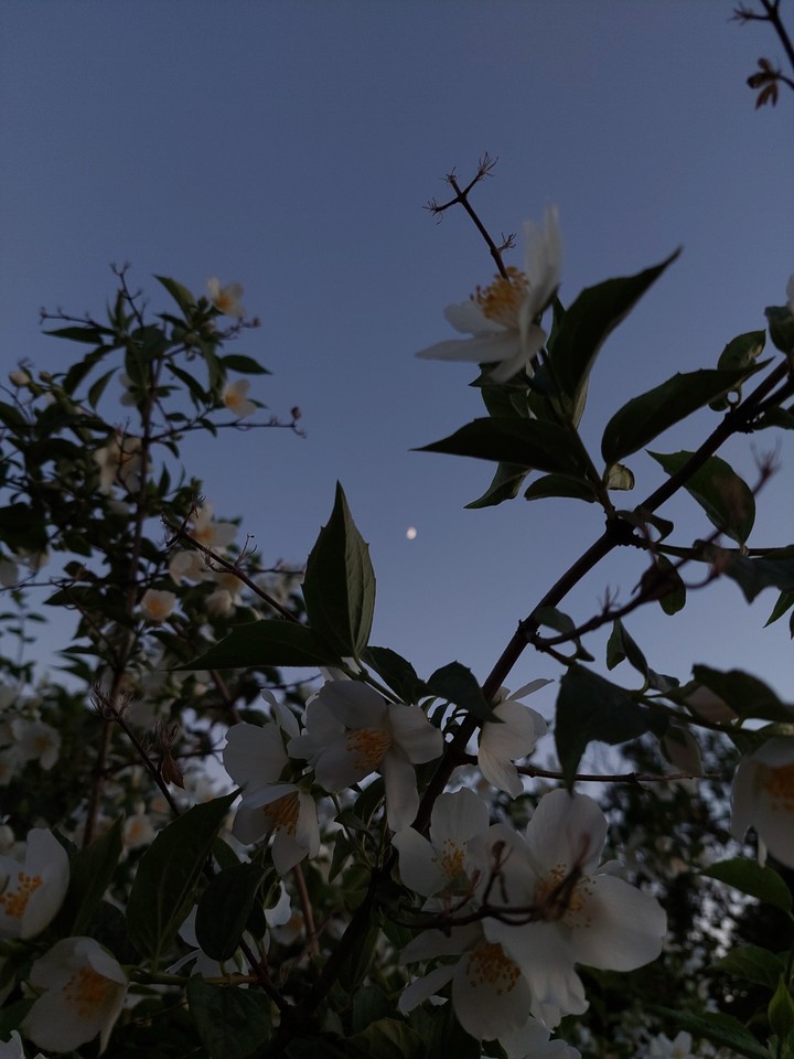 природа