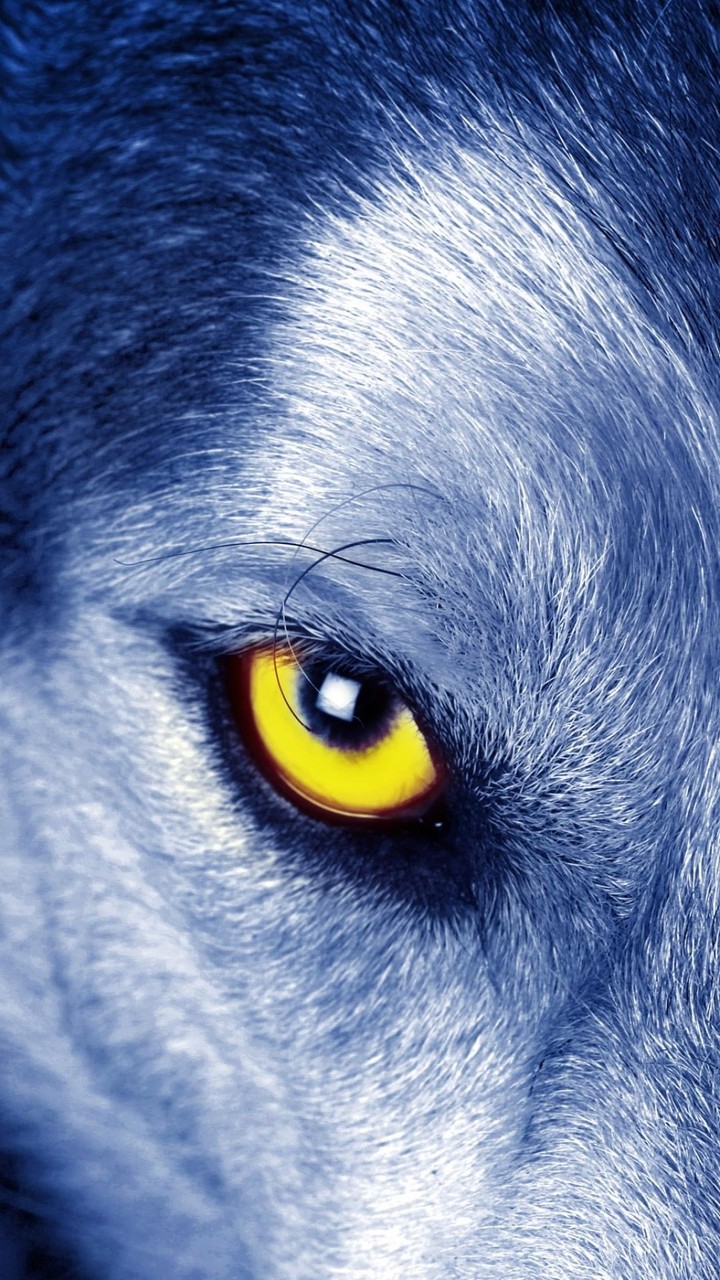 loup