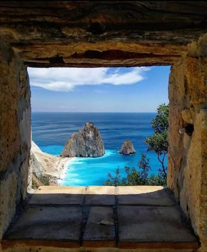 The Window