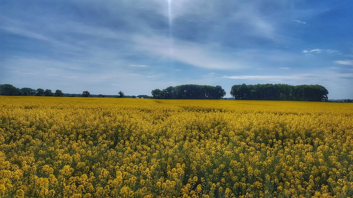 beauty of slovakia