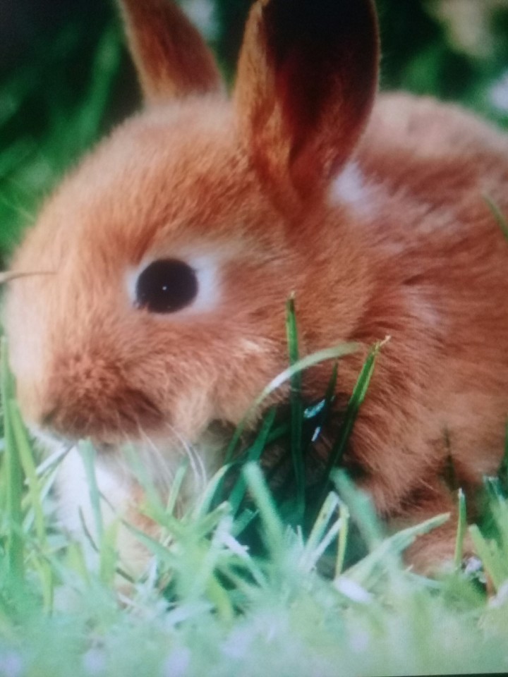 ☺