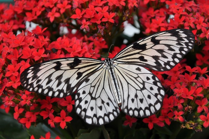 stunning....