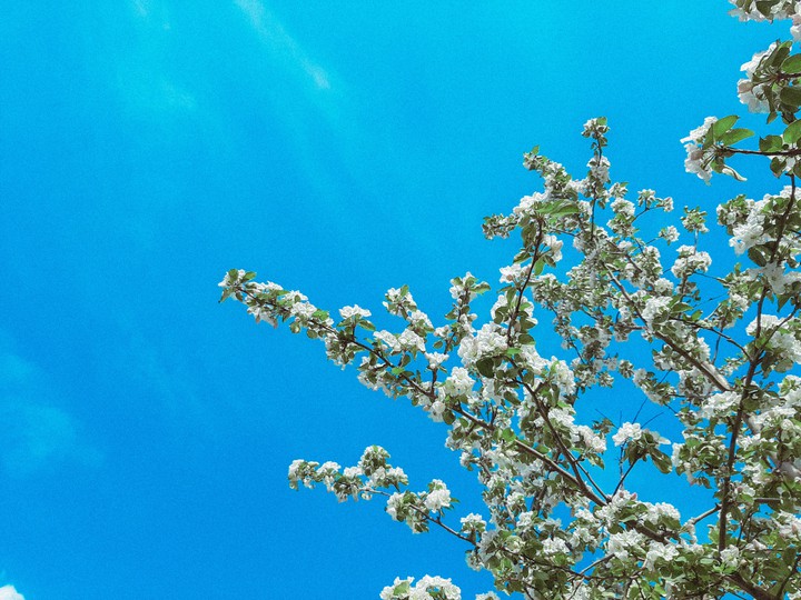sky