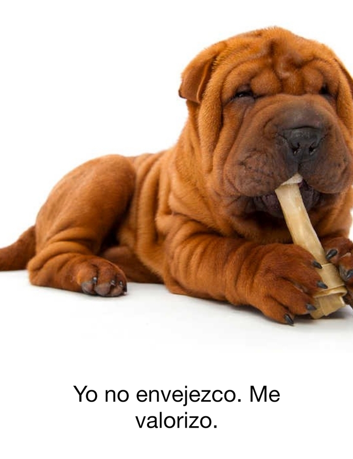 Revalorizarse