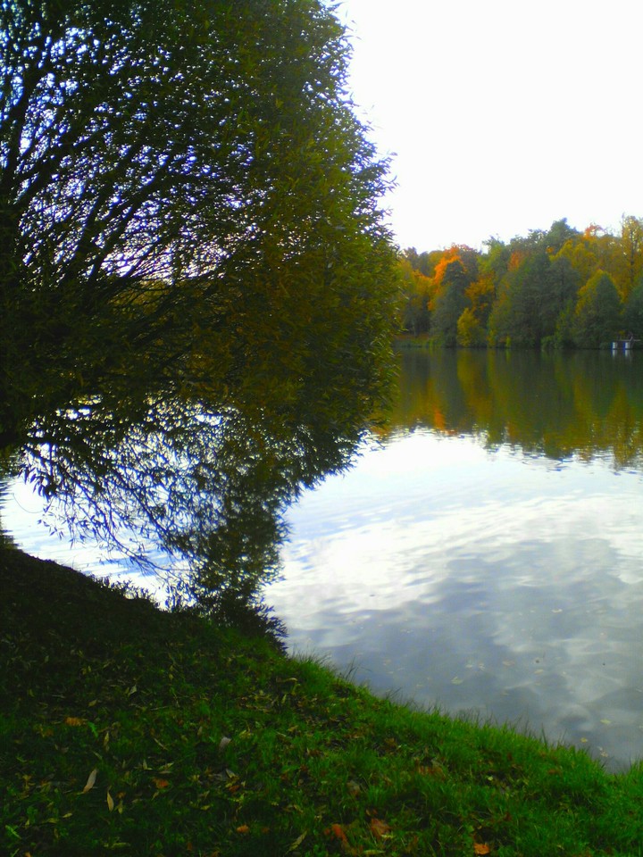 water
