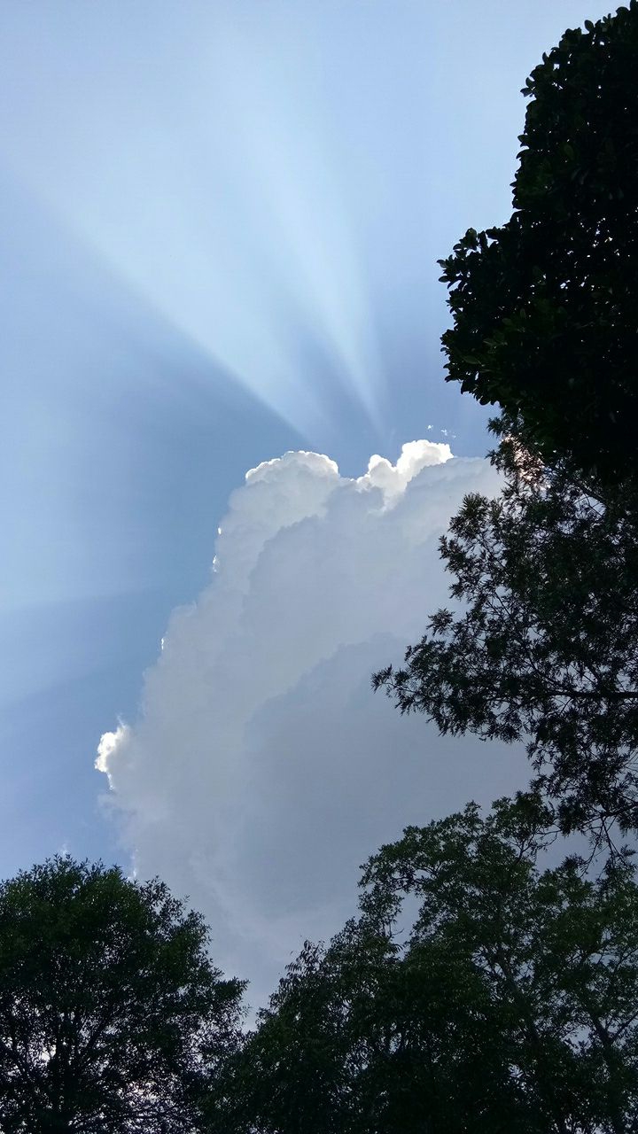 below the sky