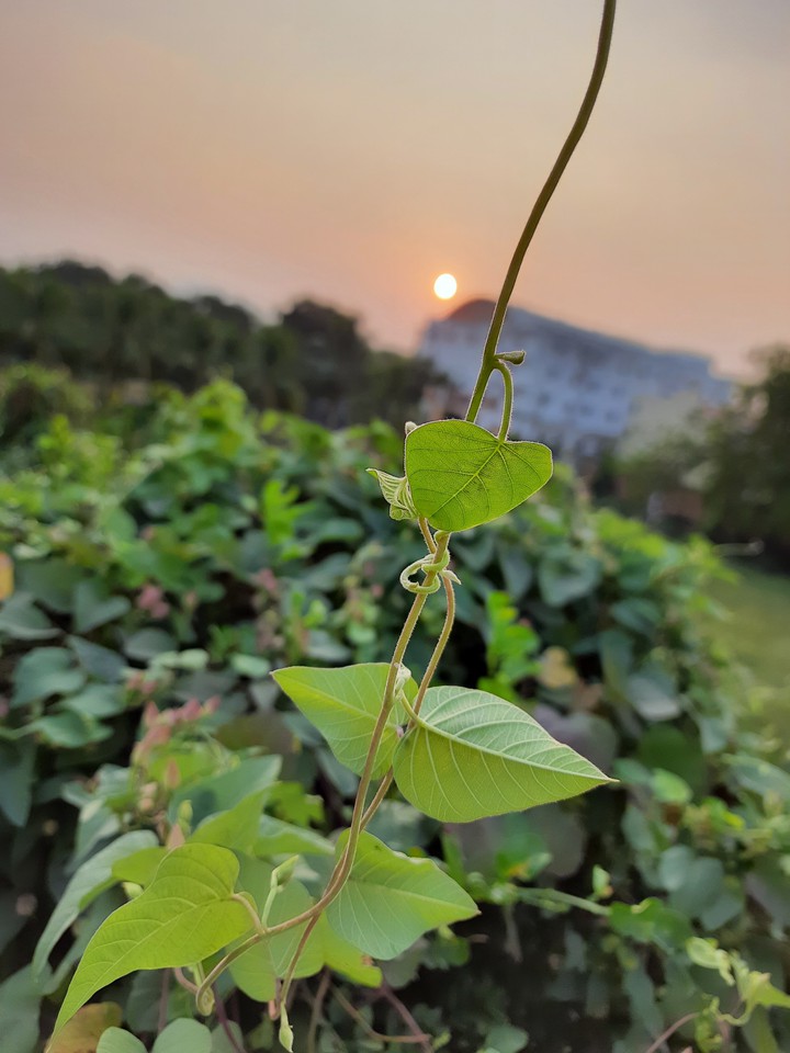 new day new world