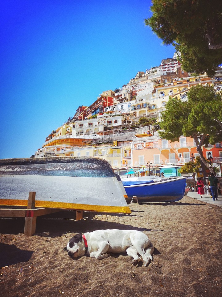 siesta