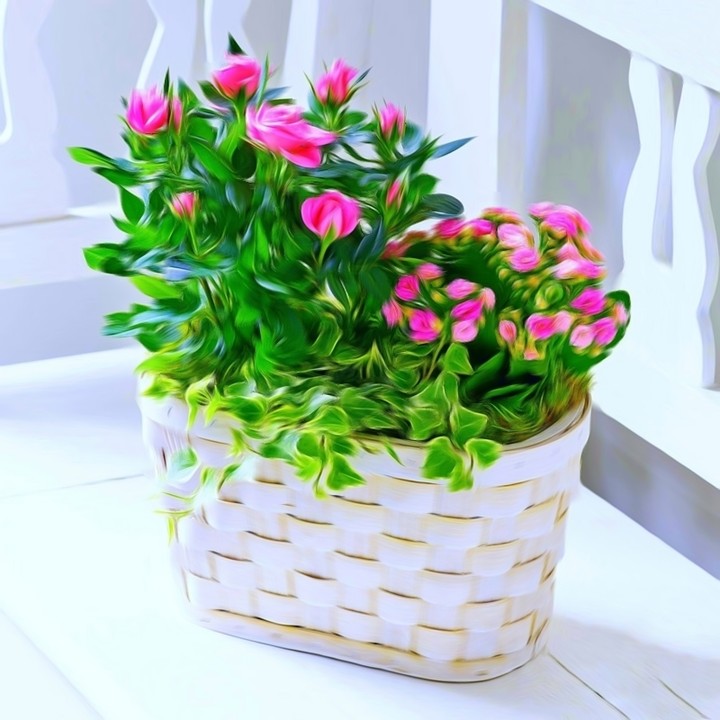 Basket of roses