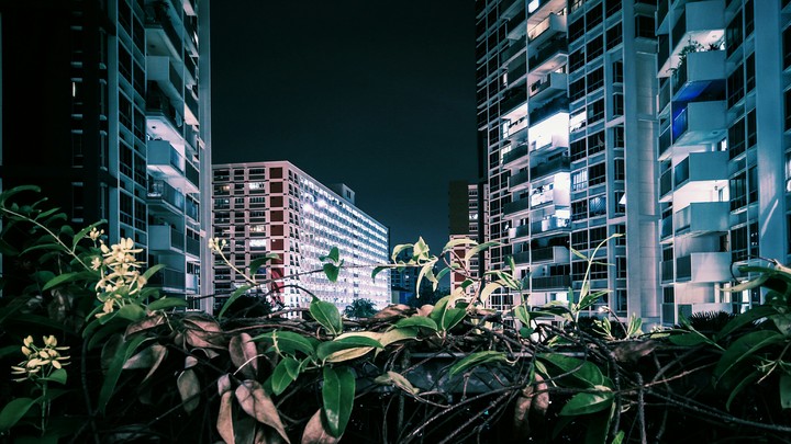 Night Life