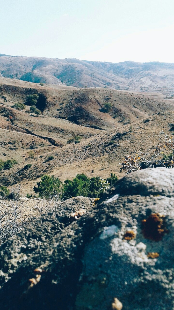Dağ