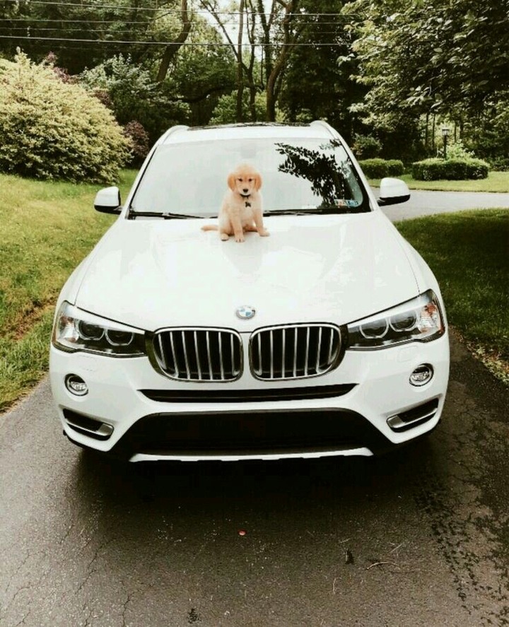 car ❤
