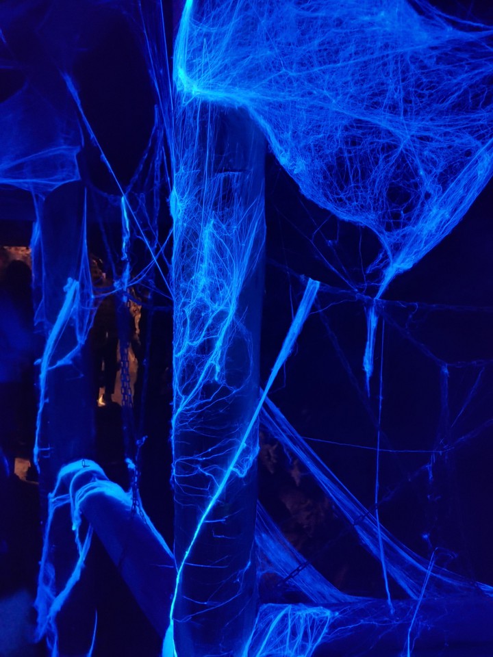 spider's net
