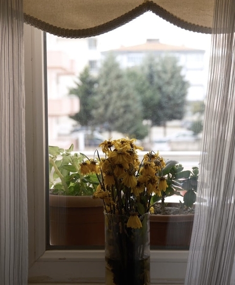 textile, Curtain háttérképek
