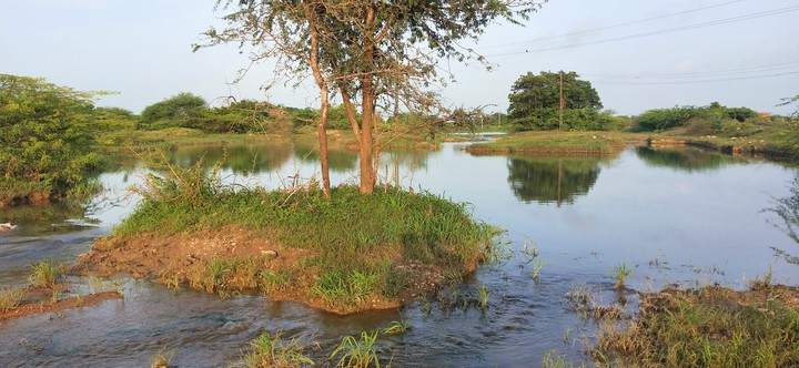nature