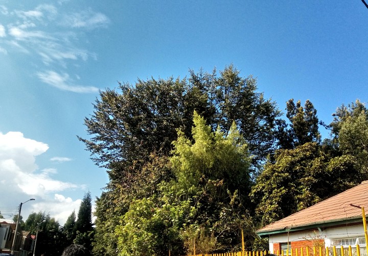 Green and Blue