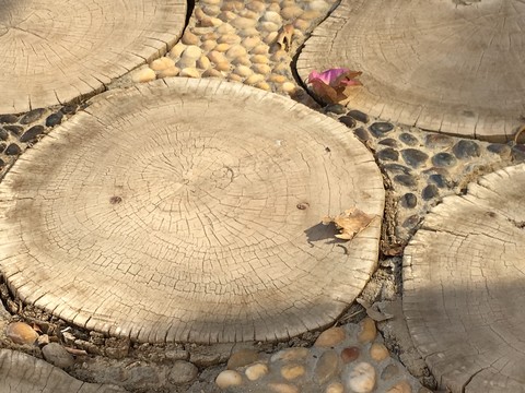 wood and flower