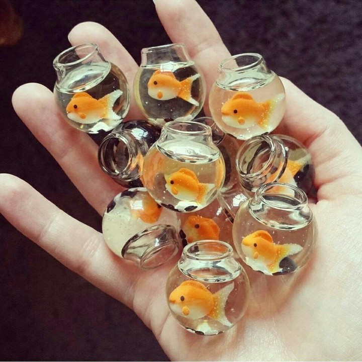 Рыбки!!!