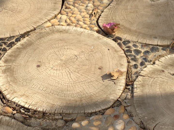 wood and flower