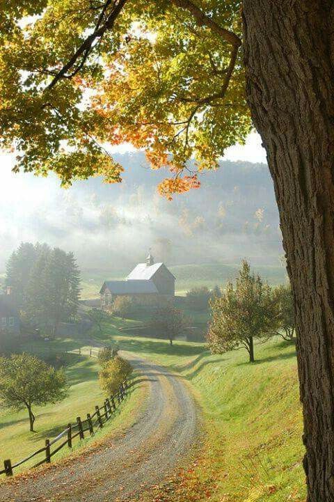 Landscape.