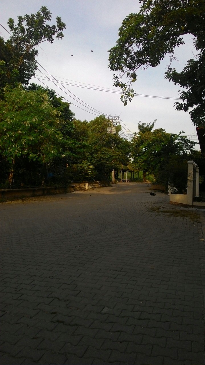 temple