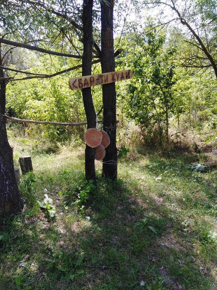 Бар "ТИ КУДИ?"
