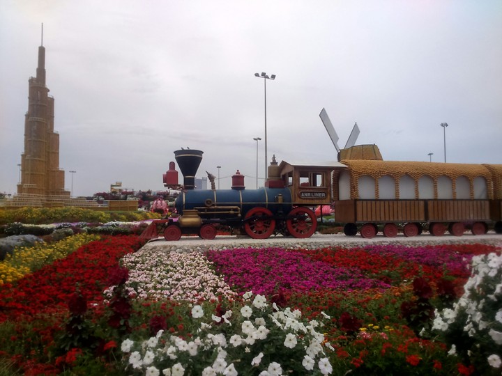 miracle garden
