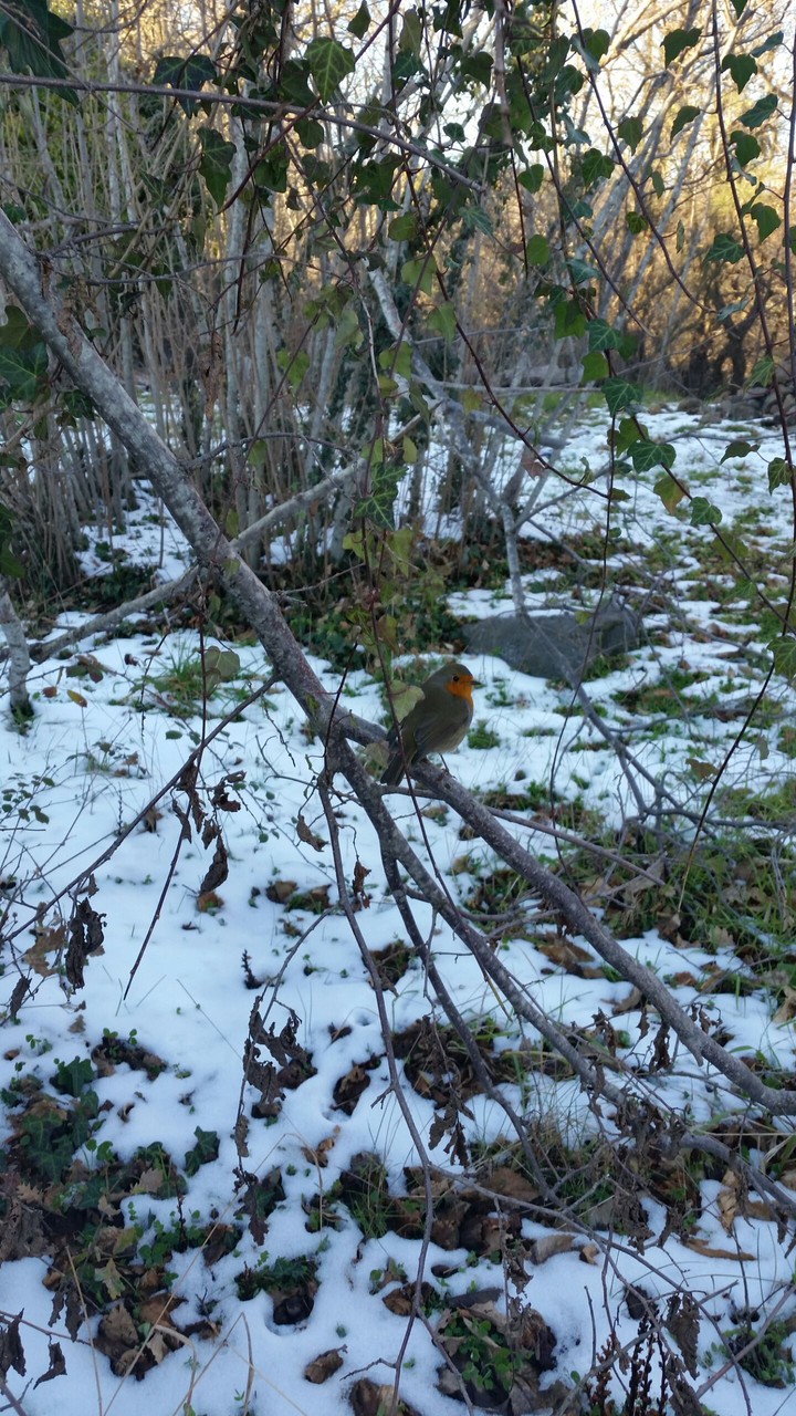winter