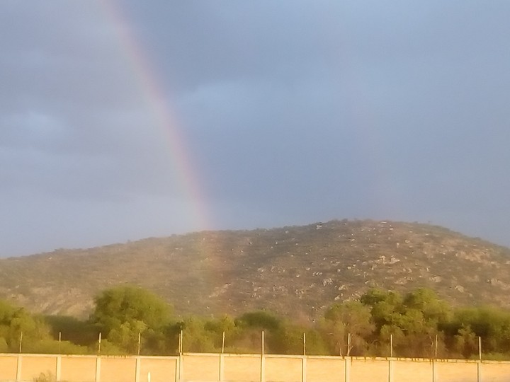 Rainbou