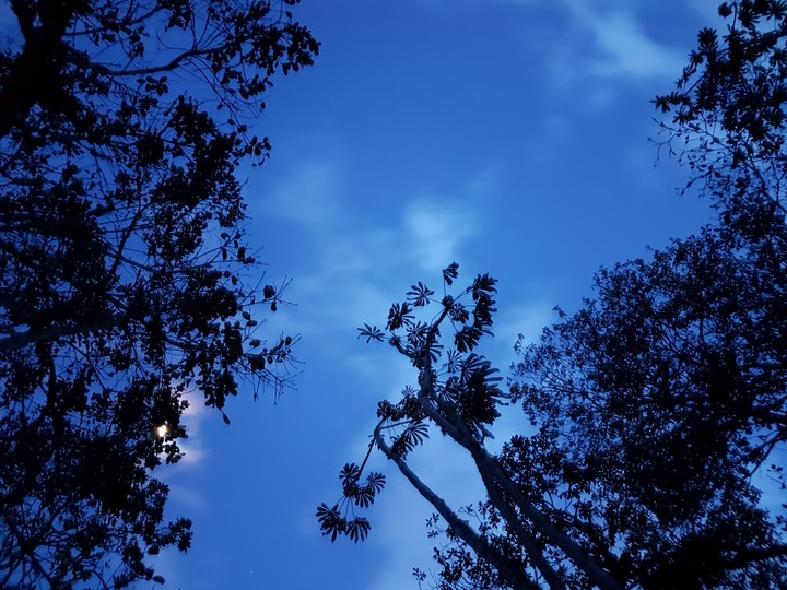 Blue Hour