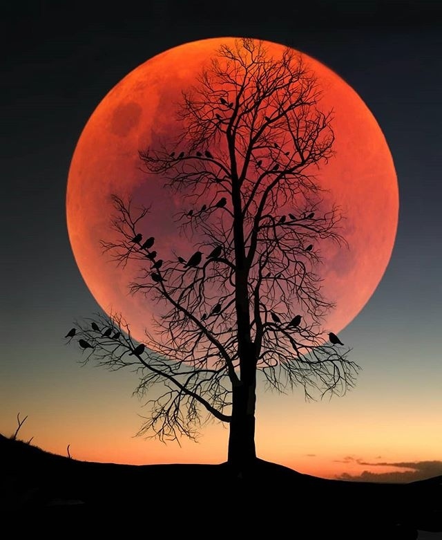 sky