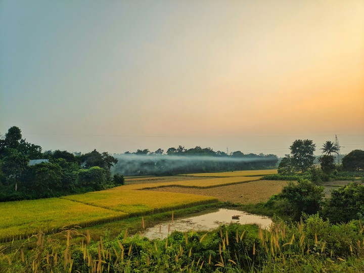 Landscape