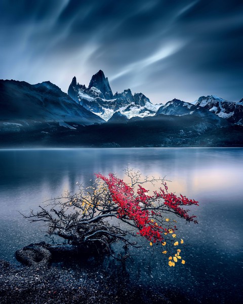 обои lake, nature