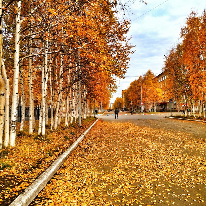 Autumn