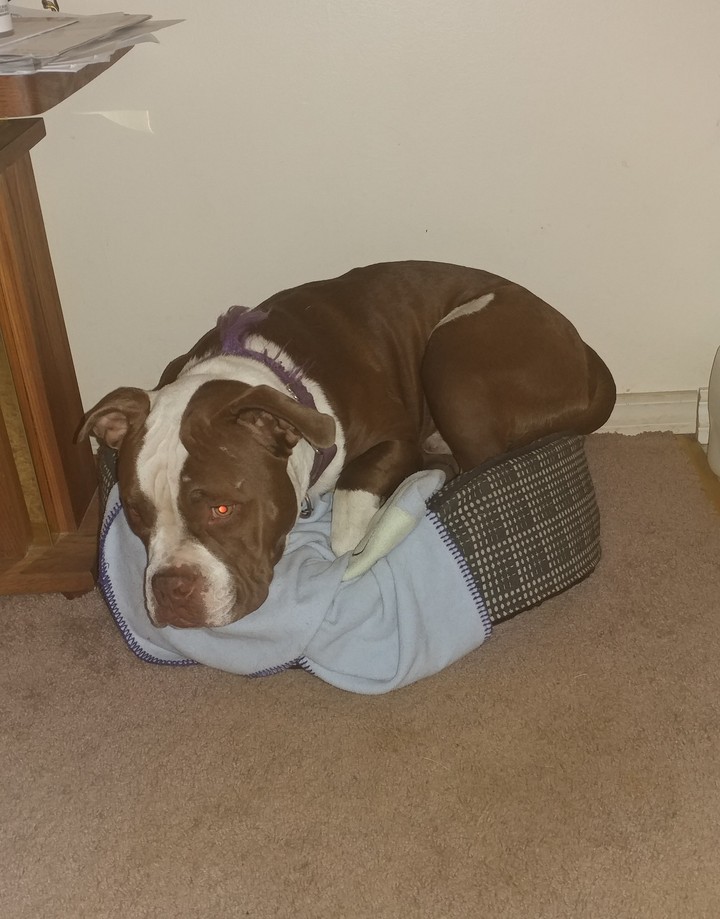 Honest!! I fit!