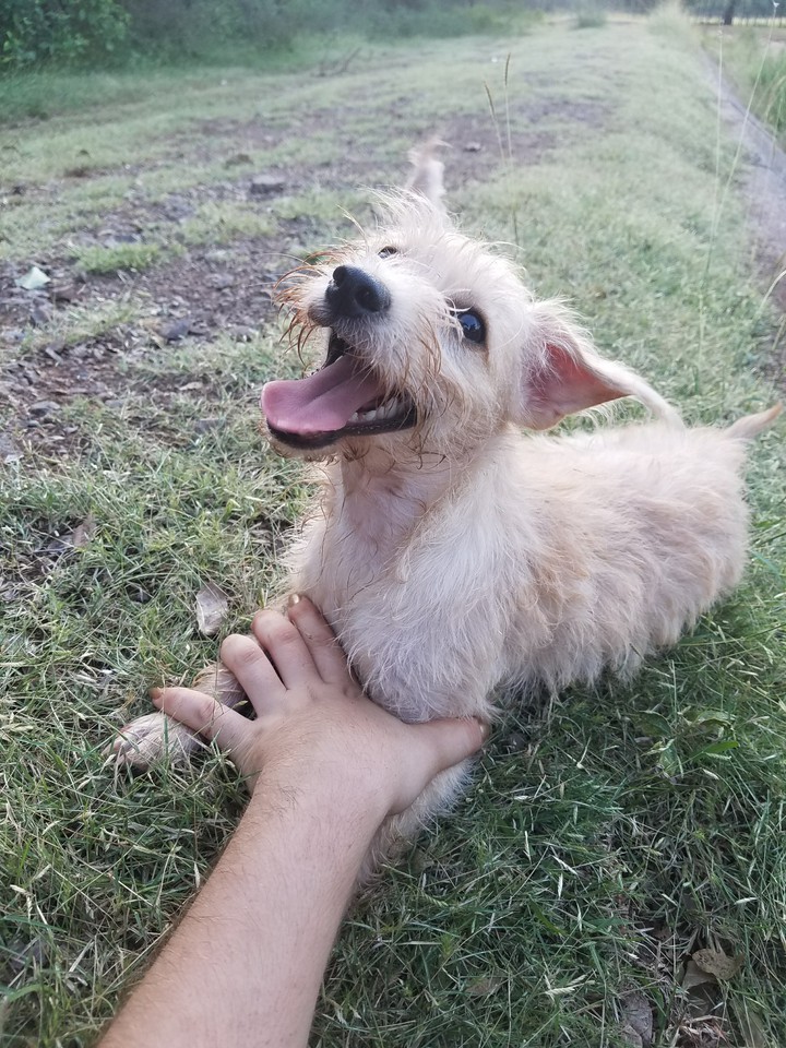 Audrey...